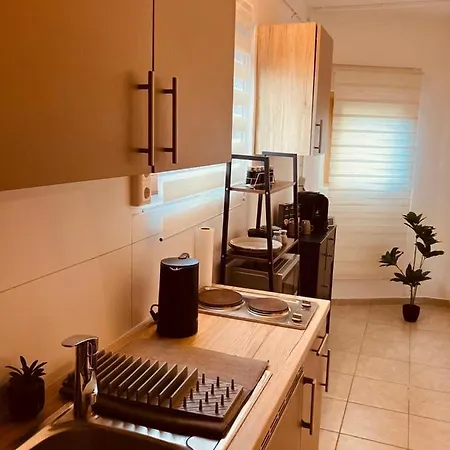 Rheindomizil 43 公寓 Karsau