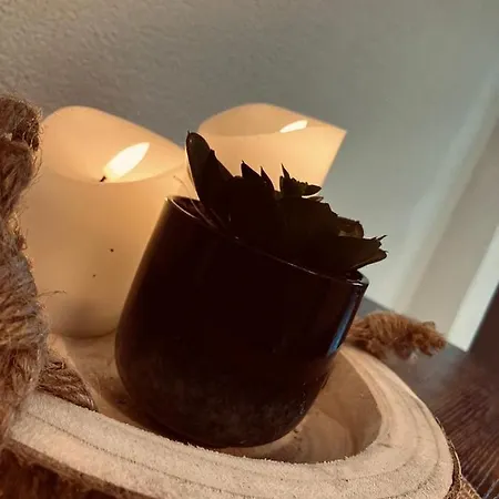 公寓 Rheindomizil 43 *